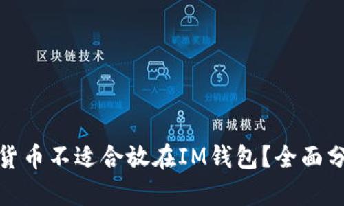 哪些数字货币不适合放在IM钱包？全面分析与建议