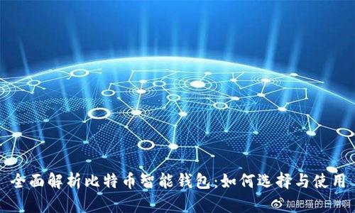 全面解析比特币智能钱包：如何选择与使用