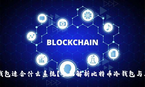 比特币冷钱包适合什么系统？全面解析比特币冷钱包与其支持平台