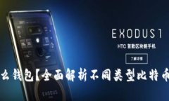 存比特币用什么钱包？全