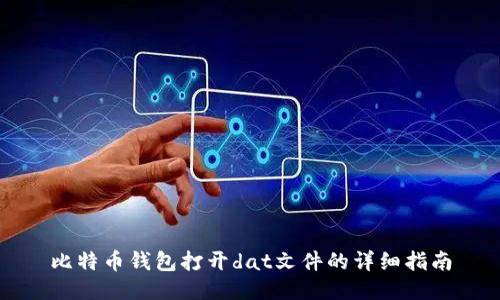 比特币钱包打开dat文件的详细指南