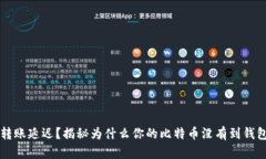 比特币转账延迟？揭秘为