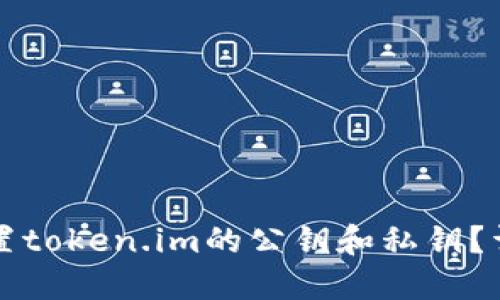 如何设置token.im的公钥和私钥？详尽指南
