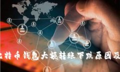 2023年比特币钱包大额转账