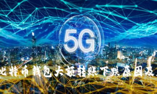 2023年比特币钱包大额转账下跌原因及应对策略