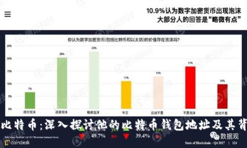 马斯克与比特币：深入探讨他的比特币钱包地址及其背后的意义