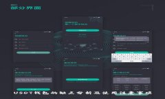 USDT钱包的缺点分析及使用