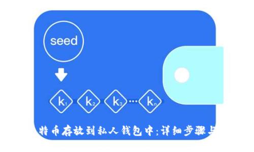 如何将比特币存放到私人钱包中：详细步骤与注意事项