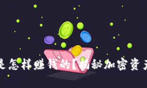 区块链钱包是怎样赚钱的？揭秘加密资产的财富之路