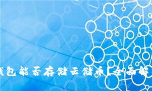 比特币钱包能否存储云储币？全面解析与指南