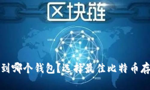 : 比特币提币到哪个钱包？选择最佳比特币存储方案的指南