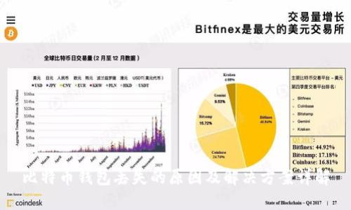 比特币钱包丢失的原因及解决方案详解