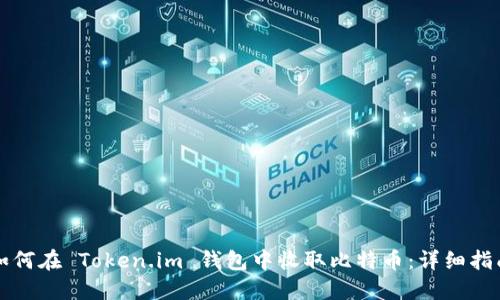 如何在 Token.im 钱包中收取比特币：详细指南