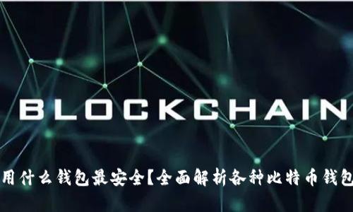 存比特币用什么钱包最安全？全面解析各种比特币钱包的优缺点