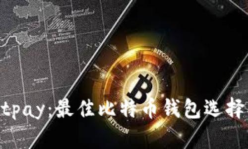  Instawalletpay：最佳比特币钱包选择及其优势解析