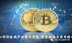 如何快速同步比特币钱包：完整指南与实用技巧