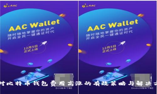 应对比特币钱包费用高涨的有效策略与解决方案