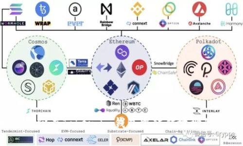 如何找回在Token.im钱包中转错地址的资产？